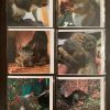 Resident Squirrel Cards