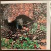 Resident Squirrel Cards - Image 2