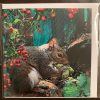 Resident Squirrel Cards - Image 4