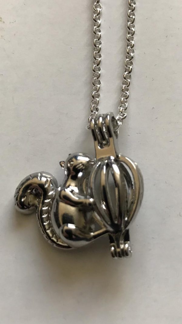 Squirrel Locket Necklace 18"