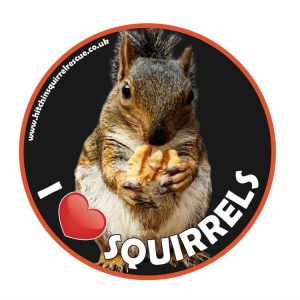 Ruben Vinyl Car/Window Sticker 11cmx11cm