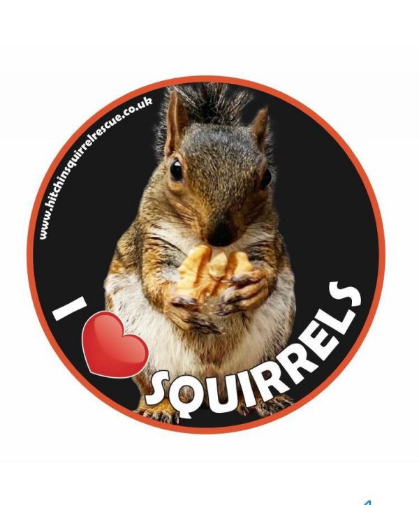 Ruben Vinyl Car/Window Sticker 11cmx11cm