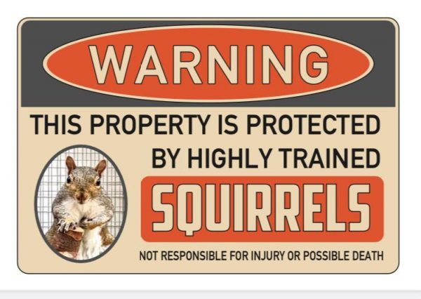 Reggie Warning Car/Window Sticker 15cm x 10cm