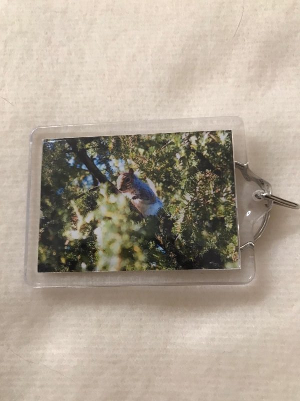 Keyrings made by Jo Risdon - Image 2