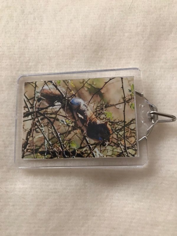 Keyrings made by Jo Risdon - Image 3