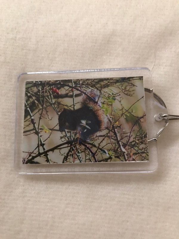 Keyrings made by Jo Risdon - Image 4