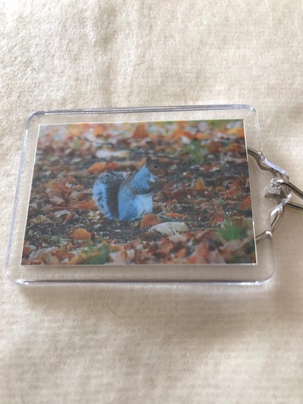 Keyrings made by Jo Risdon - Image 12