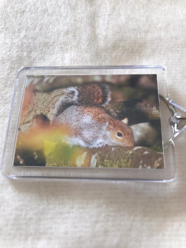 Keyrings made by Jo Risdon - Image 11