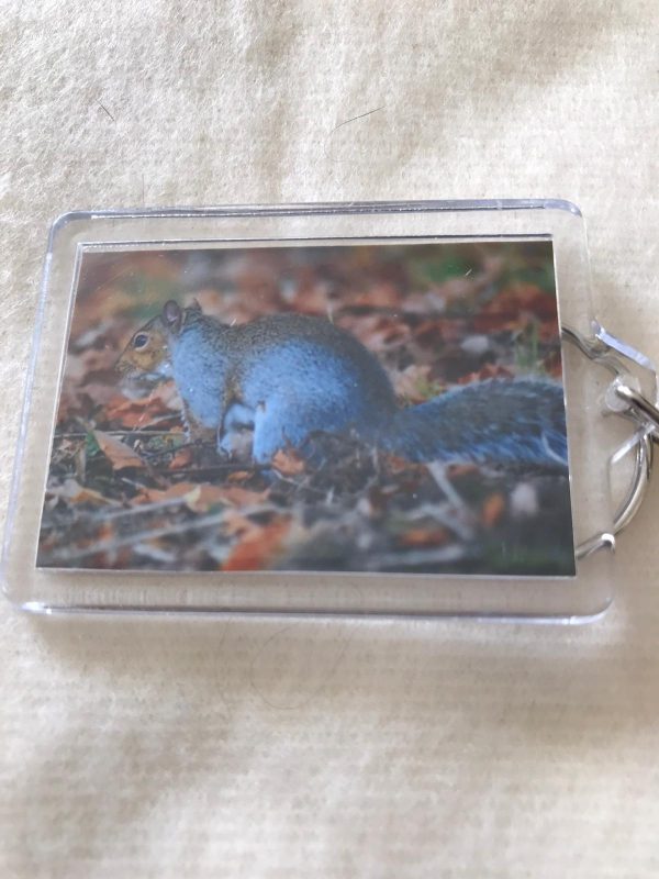 Keyrings made by Jo Risdon - Image 10