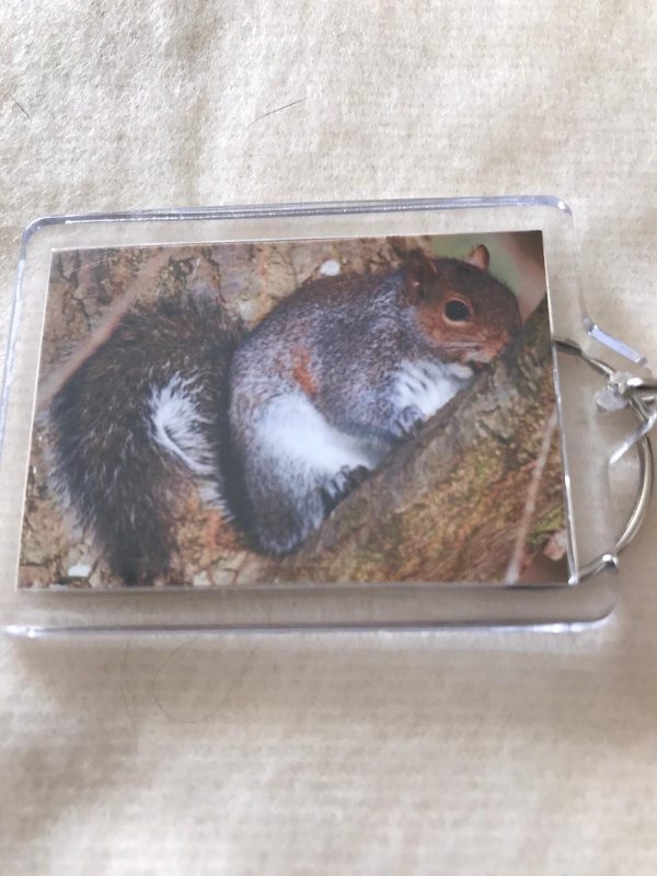 Keyrings made by Jo Risdon - Image 9