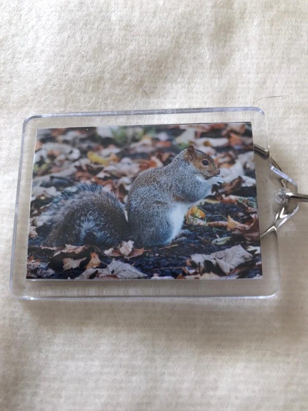 Keyrings made by Jo Risdon - Image 8