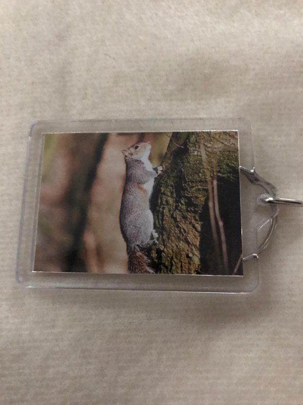 Keyrings made by Jo Risdon - Image 6