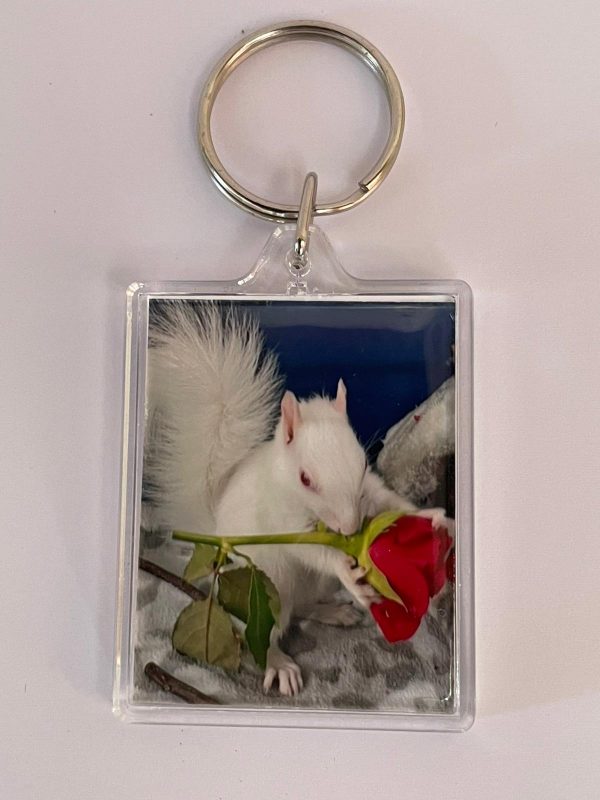 Ice Resident Squirrel Keyring - Image 2