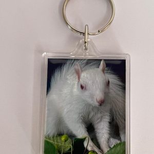 Ice Resident Squirrel Keyring
