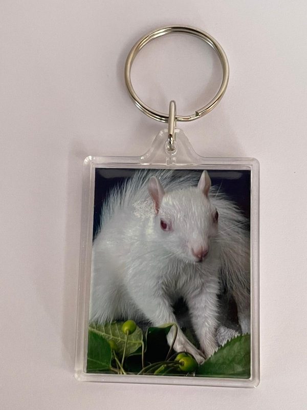 Ice Resident Squirrel Keyring