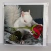 Ice Resident Squirrel Card - Image 2