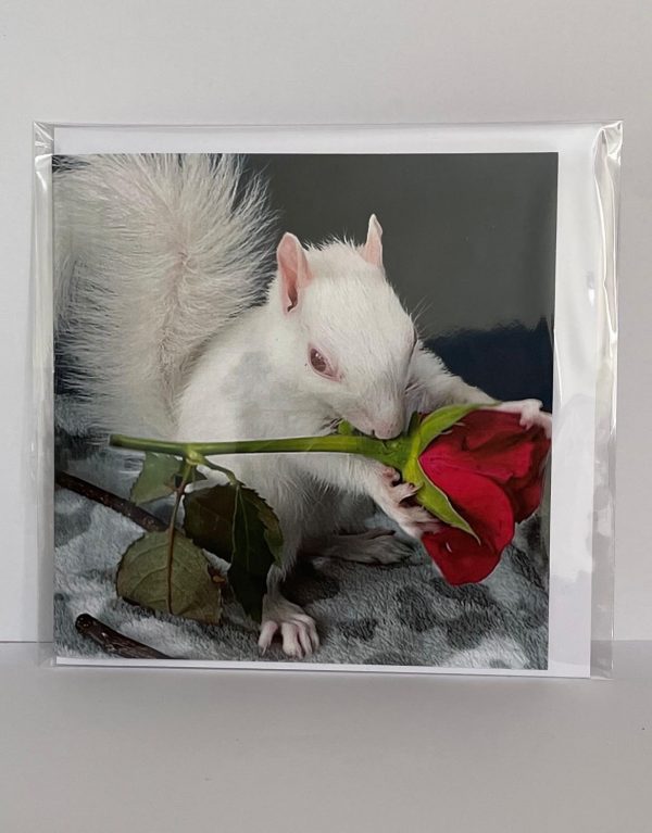 Ice Resident Squirrel Card - Image 2