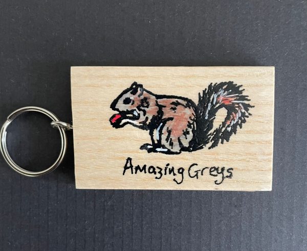 Hand Painted Vegan Ink Amazing Greys Keyring