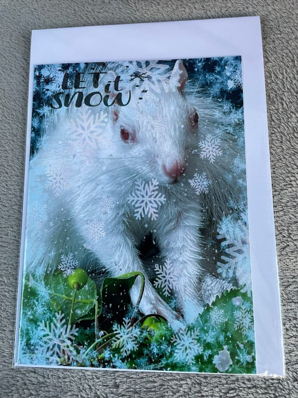 Single A5 Christmas Cards - Image 6