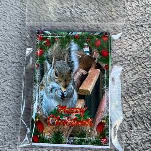 Pack of 6 Christmass Gift Tags 8cm x 5cm
