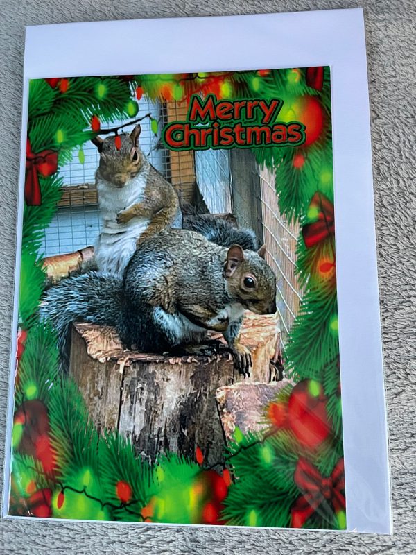 Single A5 Christmas Cards - Image 7