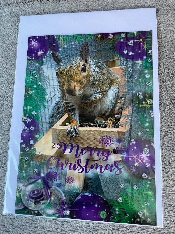 Single A5 Christmas Cards - Image 2