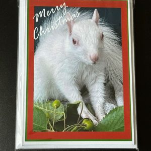 Pack of 5 A6 Ice Christmas Cards