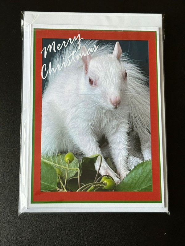 Pack of 5 A6 Ice Christmas Cards