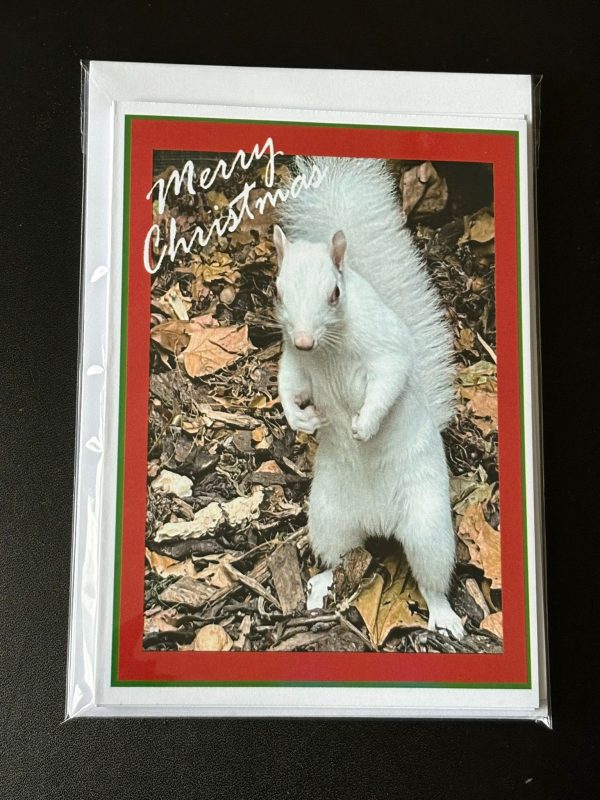 Pack of 5 A6 Ice Christmas Cards - Image 5