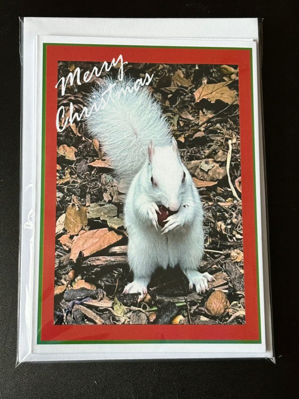 Pack of 5 A6 Ice Christmas Cards - Image 4