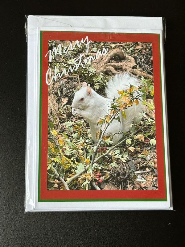 Pack of 5 A6 Ice Christmas Cards - Image 3