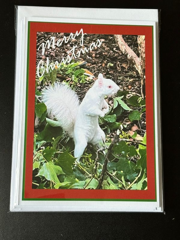 Pack of 5 A6 Ice Christmas Cards - Image 2